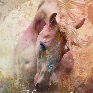 Meet your Posher, Cathy